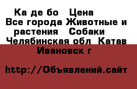 Ка де бо › Цена ­ 25 - Все города Животные и растения » Собаки   . Челябинская обл.,Катав-Ивановск г.